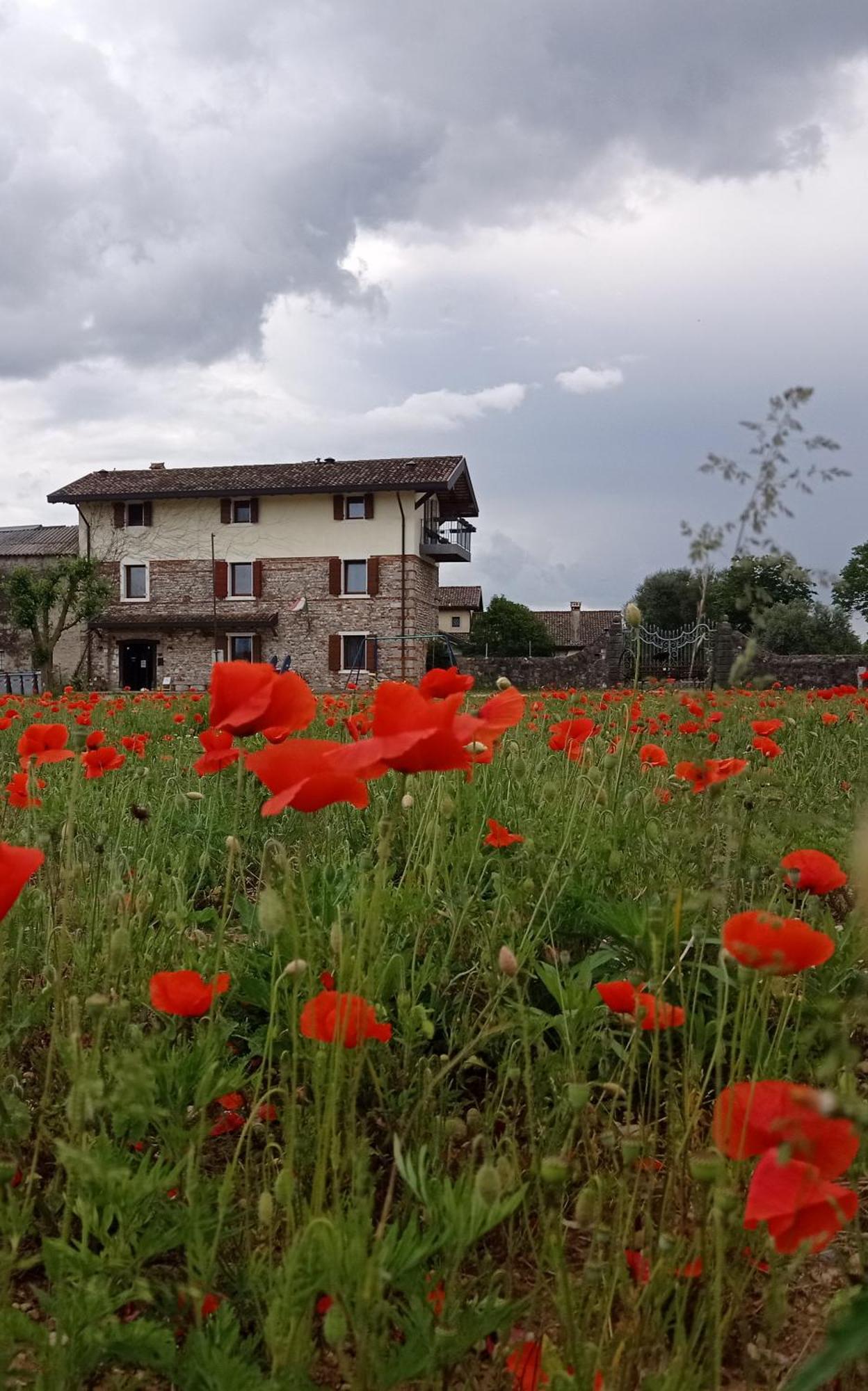 Casal Micelio Agroturismo *